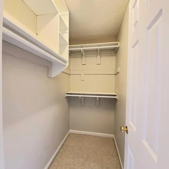 909 Perry Howard Rd — Photo 13