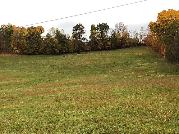 2nd image of 139 Vineyard Ln