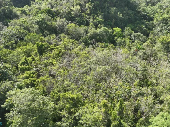 A B E, Arecibo, PR 00612