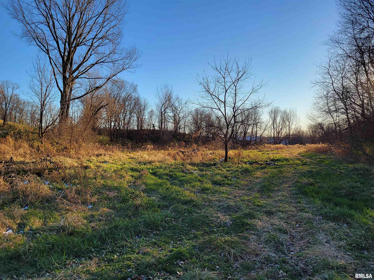 800 N 600th Ave, Lynn Center, IL 61262 Zillow