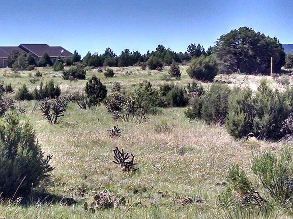 5th image of Pinon Ter Lot 23