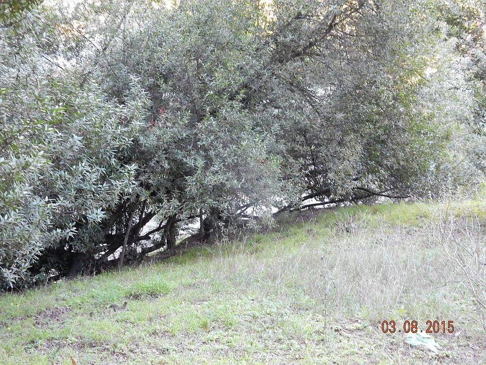1st image of 003 Girvin Dr