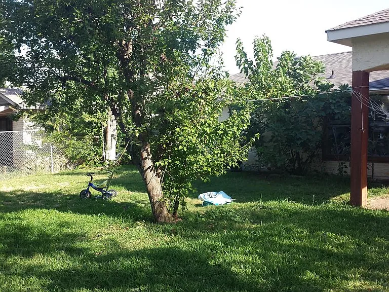 Back yard