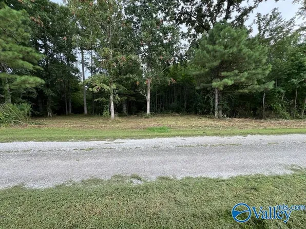 TRACT 0 Mealer Ln, Elkmont, AL 35620