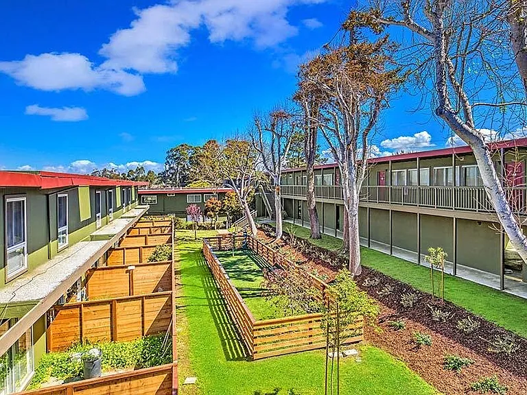 Pacific Pines — Photo 12