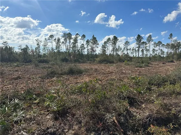 LOT 1 Tv, Millwood, GA 31552