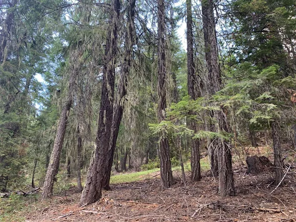 361 Mule Lovers Ln, Hayfork, CA 96041