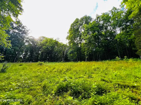 Sandy Ridge Rd, Jonesville, VA 24263