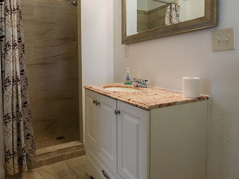 Master bathroom