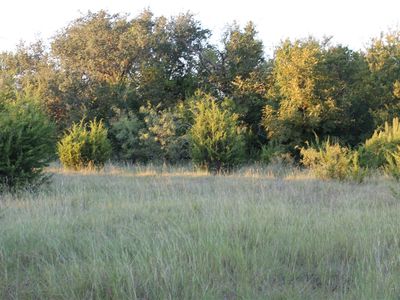 County Road 147, Blanket, TX, 76432