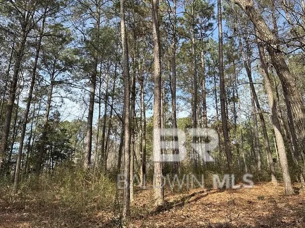 21&22 Flat Creek Dr, Bay Minette, AL 36507