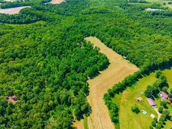 3188 Amsterdam Rd SE, Scio, OH 43988