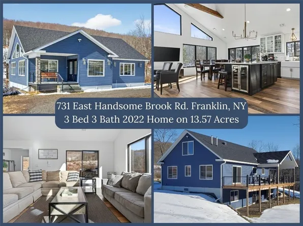731 E Handsome Brook Rd, Franklin, NY 13775