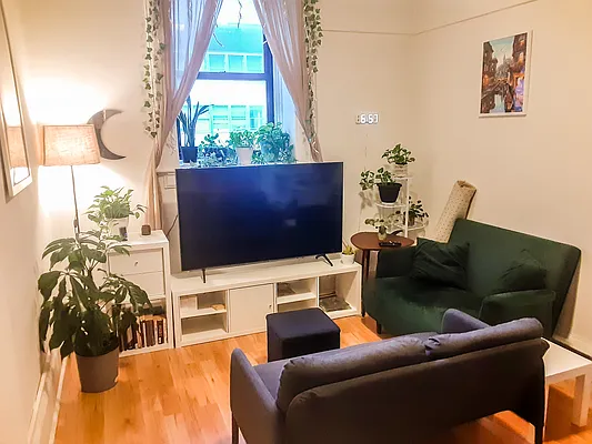 Rented by Oxford Property Group | media 7