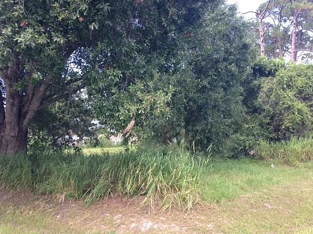 1st image of 7206 Citrus Park Blvd