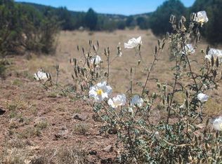 5278 N Wall St #264, Ash Fork, AZ 86320