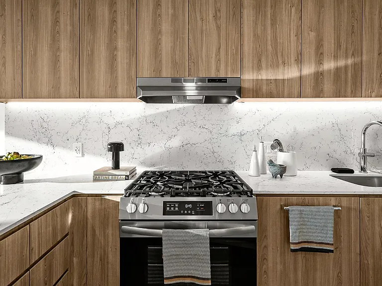 970 S Michigan Ave #5108 — Photo 3
