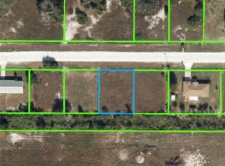 1733 W Fondulac Rd, Avon Park, FL 33825