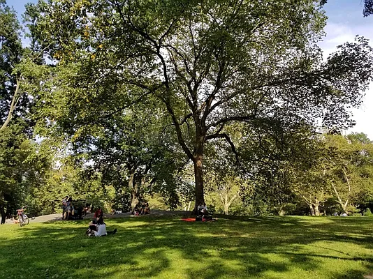 Rented by Bond New York | media 3