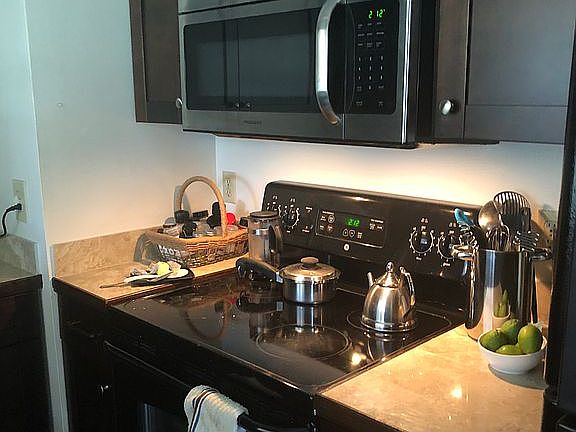 Range and overhead microwave