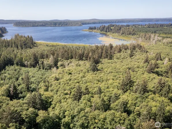 1 Swamp Road, Sekiu, WA 98381