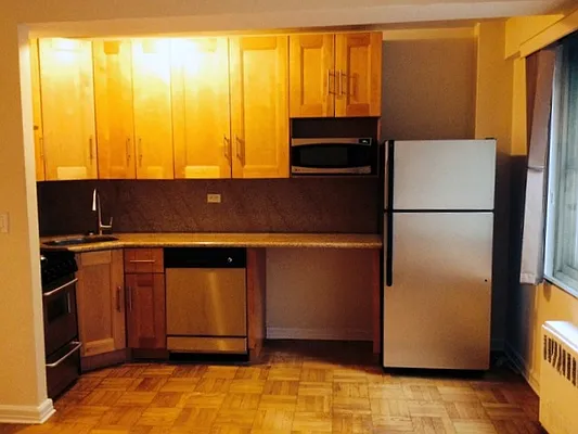 Rented by Luxus Manhattan Realty | media 44