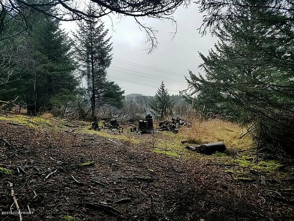 4th image of 407 Hillside Dr