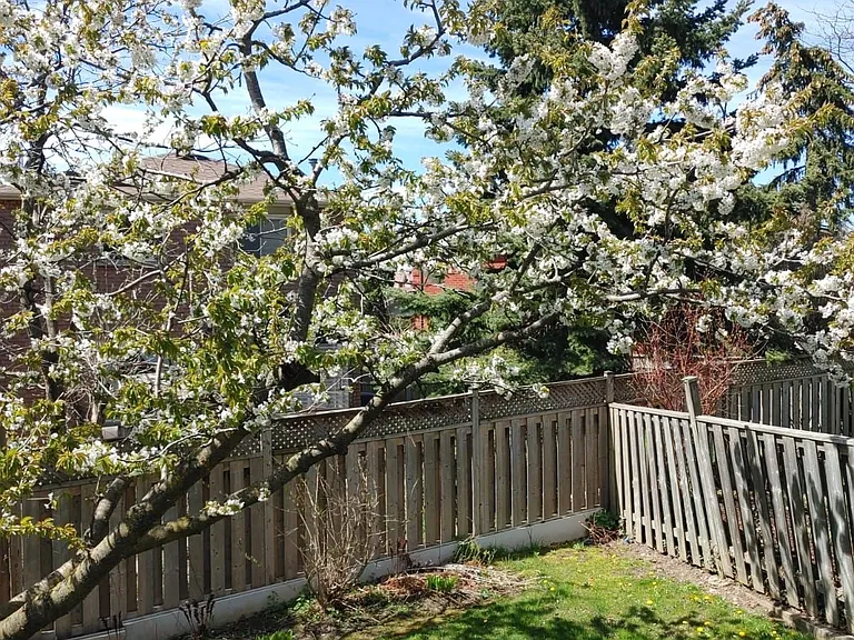 5202 Huntingfield Dr E — Photo 32