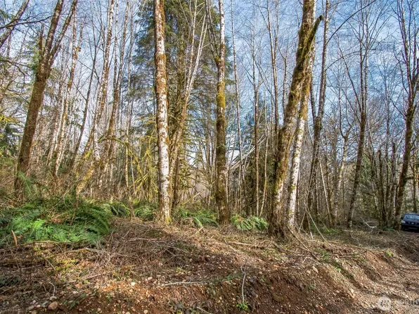 0 XX W Reller Road, Shelton, WA 98584