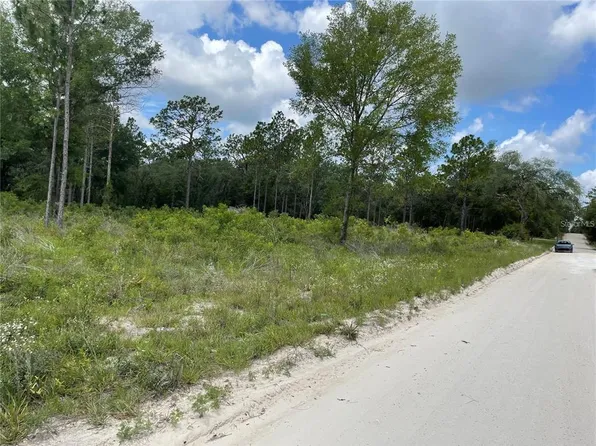 SE 23rd Pl #11, Morriston, FL 32668