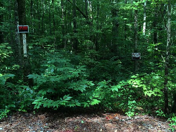 2nd image of 344 Brock Creek Trl