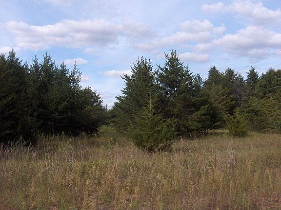 Rear of property