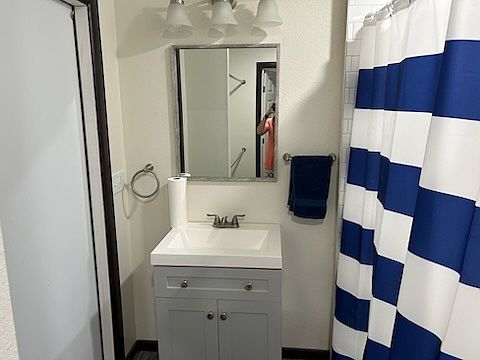 Subway tiled shower and vanity.
