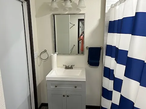 Subway tiled shower and vanity.
