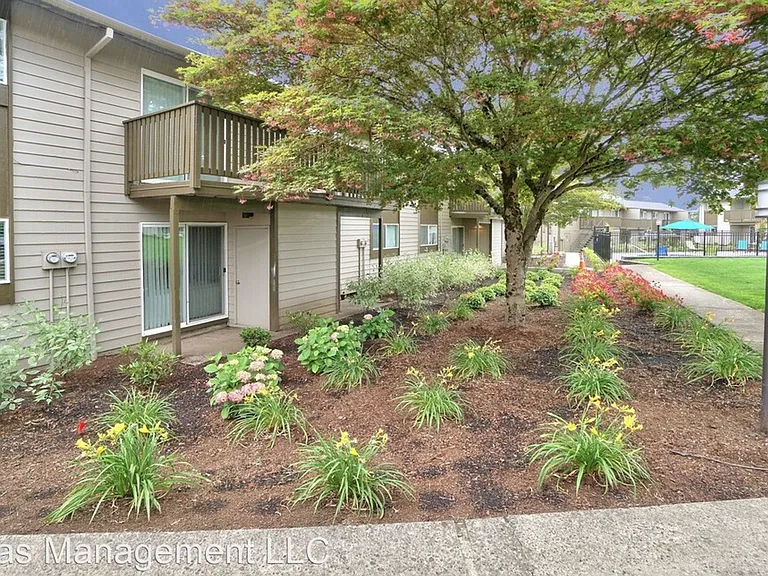 The Zimmer — Photo 20