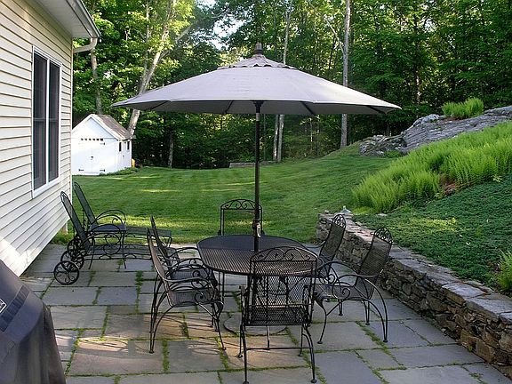 Bluestone patio and ferns