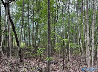 31/- Brushy Creek Main Point, Arley, AL 35541