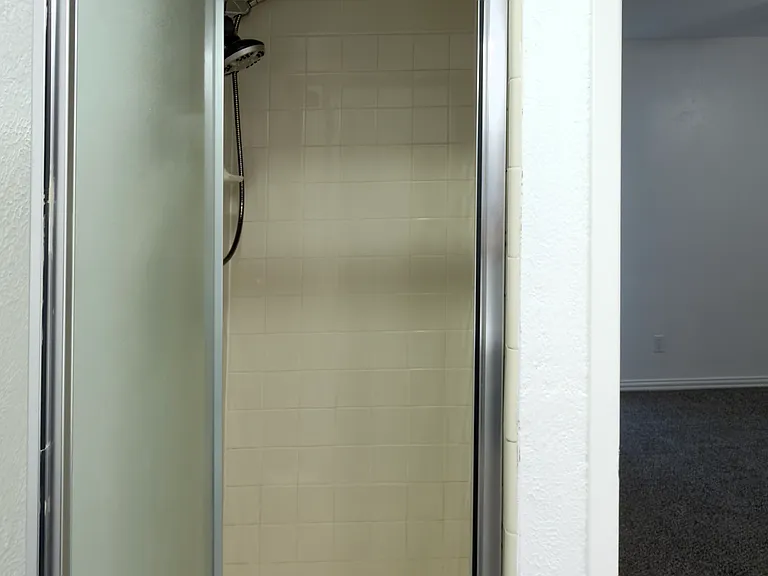 Master Bedroom Shower