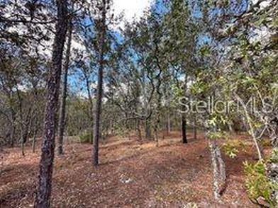 12 Apple Ct #9, Homosassa, FL, 34446