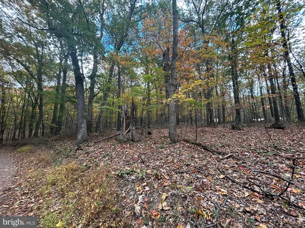 Lodge Ln, Cross Junction, VA 22625