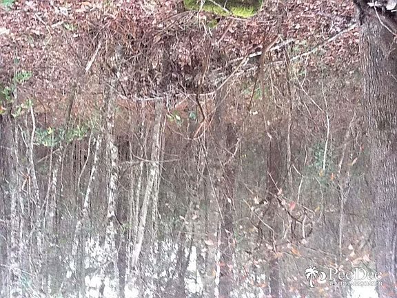 5th image of 325 Kearson Dr