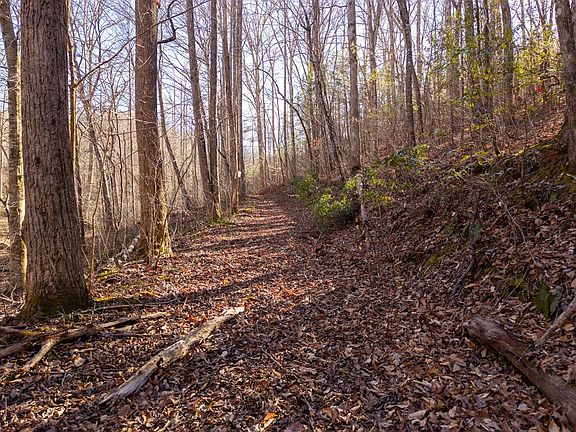 5th image of 22A Bear Creek Estates