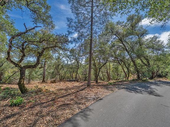 2nd image of Leaning Tree Rd