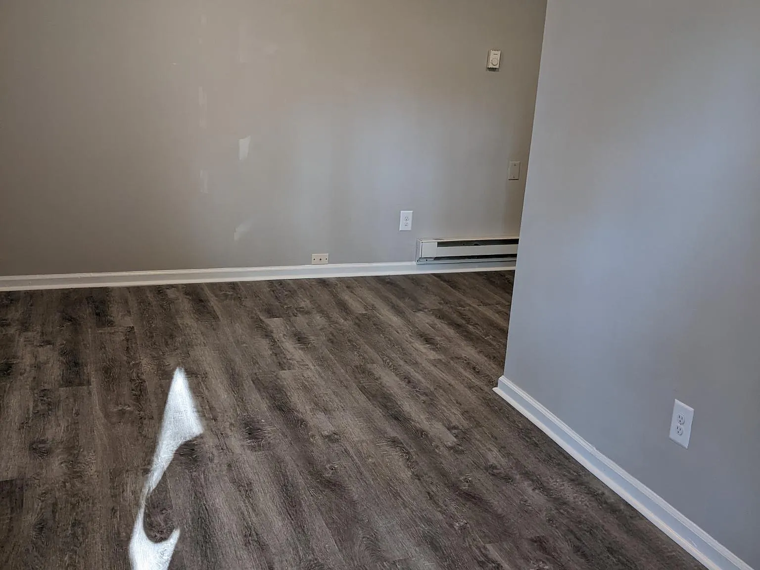 1 bed, 470 sqft, $1,100 — Photo 3