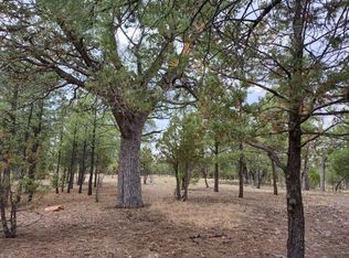 4281 Soft Wind Pl, Happy Jack, AZ 86024