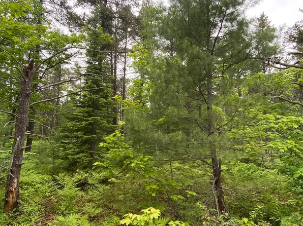14511 N Whitefish Point Rd, Paradise, MI 49768