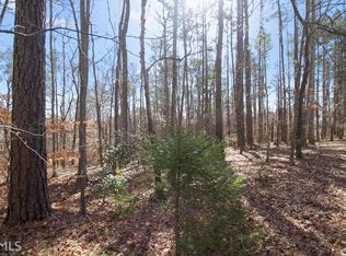 0 Raintree Dr LOT 6, Newnan, GA 30263