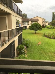 18370 SE Wood Haven Ln APT K, Jupiter, FL, 33469