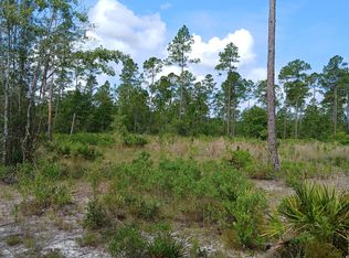 883 Okefenokee Club Rd, Folkston, GA 31537