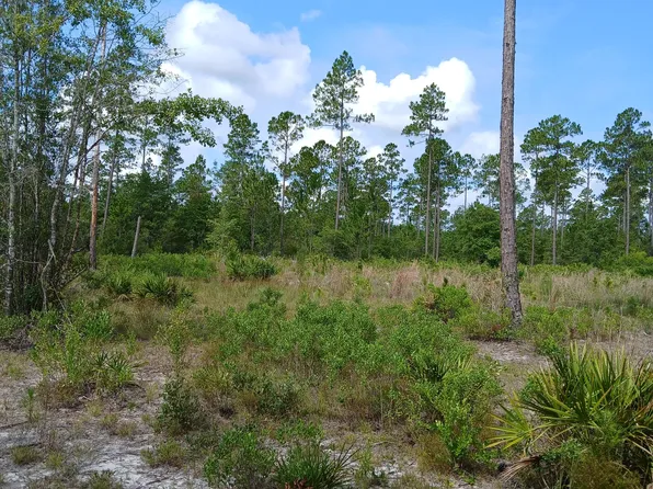 883 Okefenokee Club Rd, Folkston, GA 31537